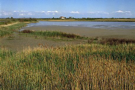Marano Lagunare